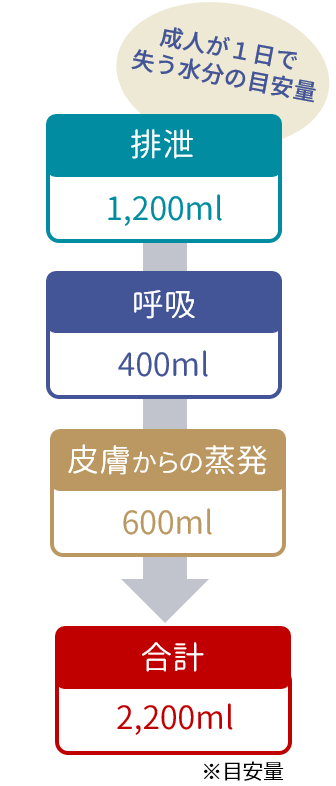 １日に失う水分量