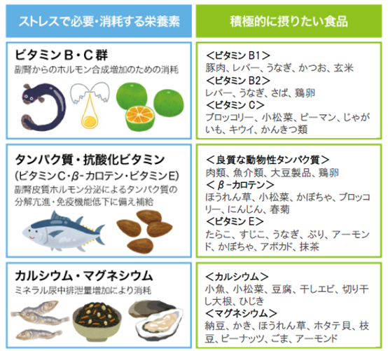 ストレス栄養素