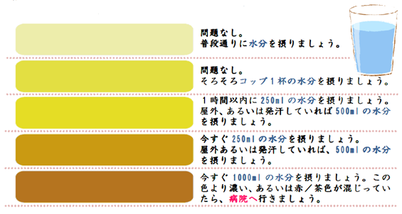尿　判定チャート